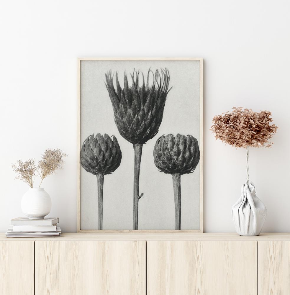 Grey Flower IV Poster