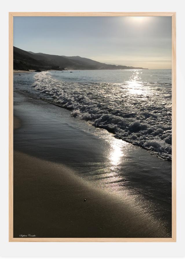 Malibu Beach View Poster