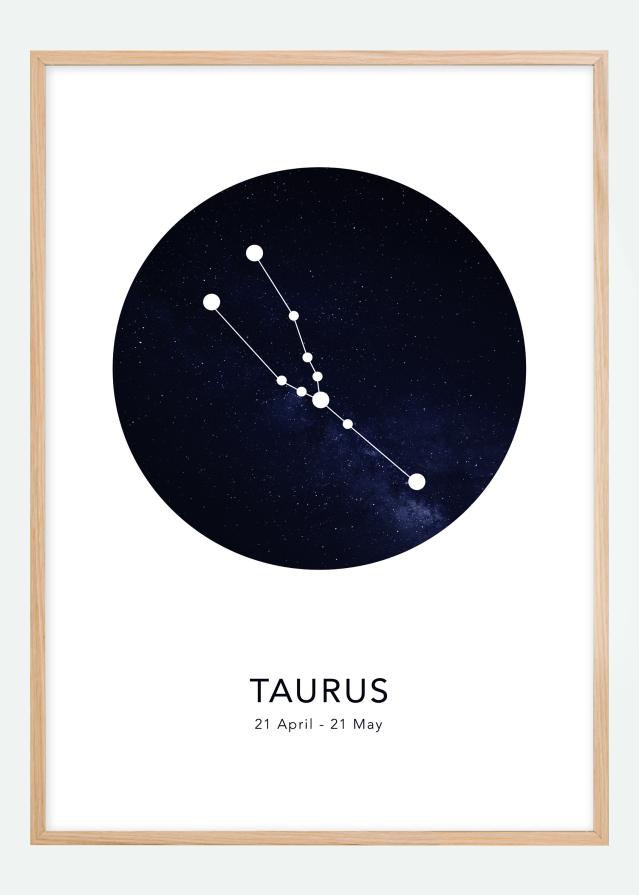 Taurus Poster