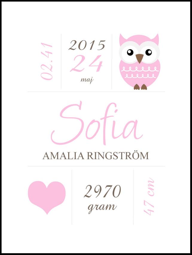 Owl Birth Poster Pink