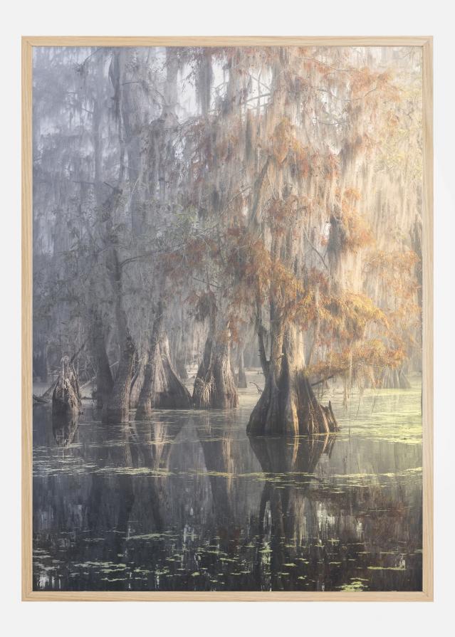 Louisiana Swamp Poster