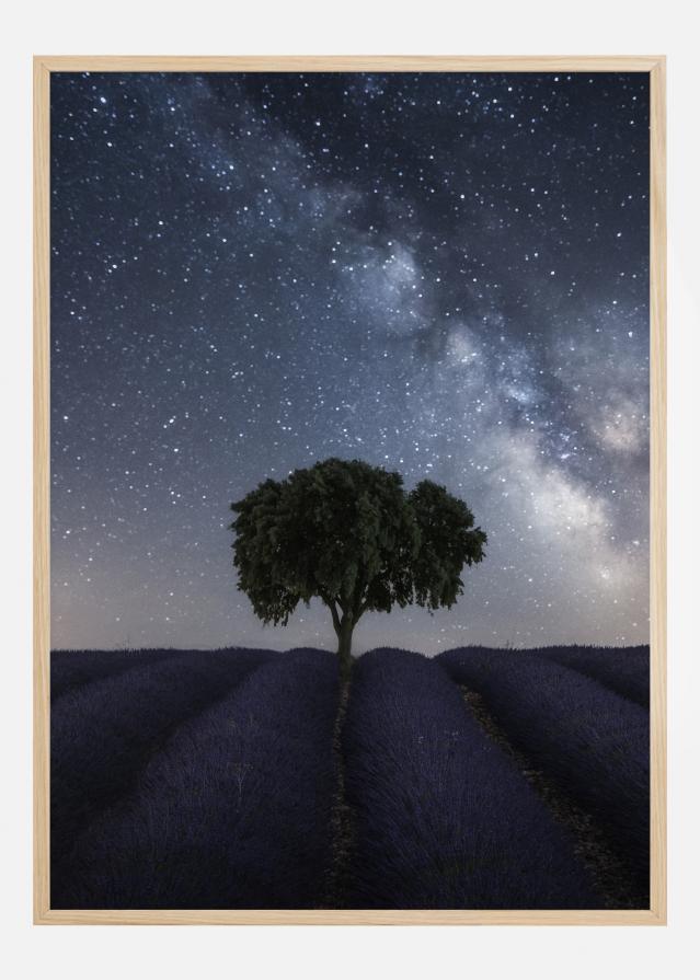 Tree And Milky Way Poster