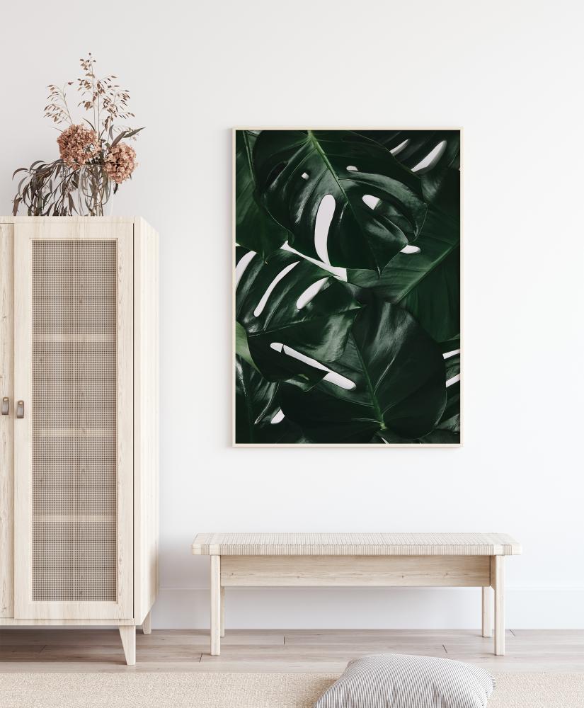 Monstera Plant I Poster