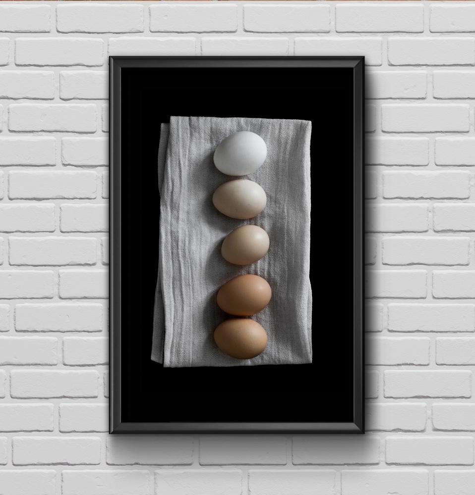 Farm eggs Poster