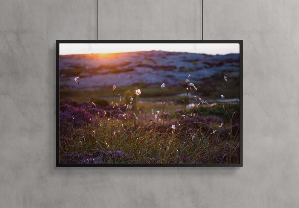 Summer evening on the rocks Poster