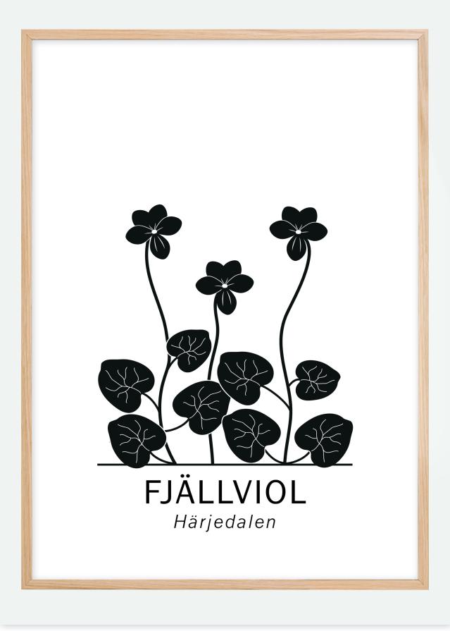 Fjällviol - Härjedalen Poster