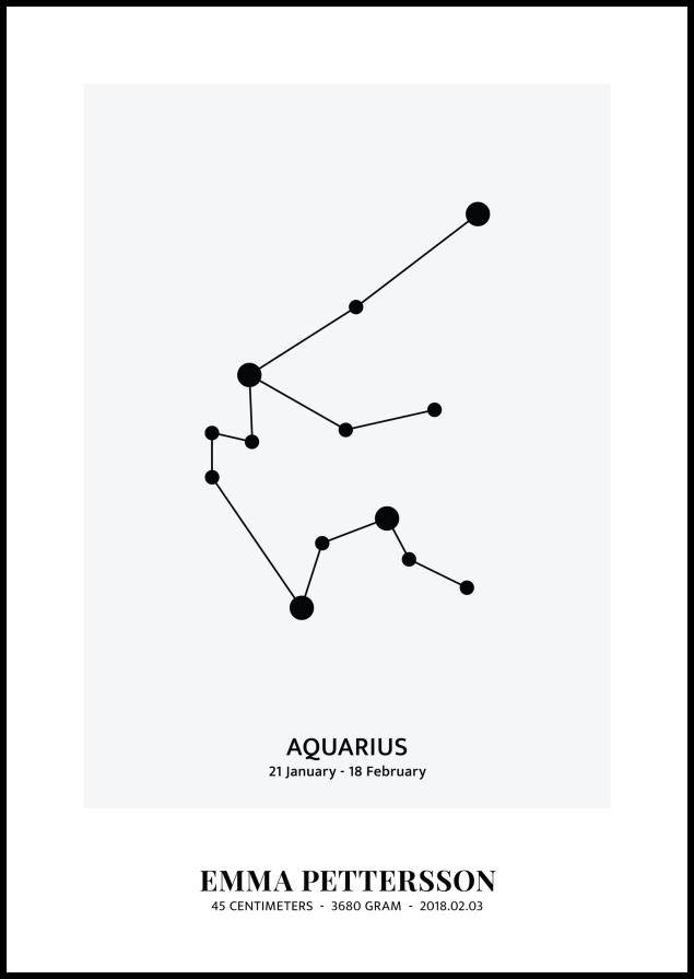 Aquarius - Zodiac