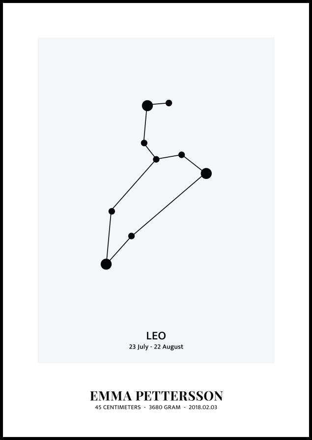 Leo - Zodiac