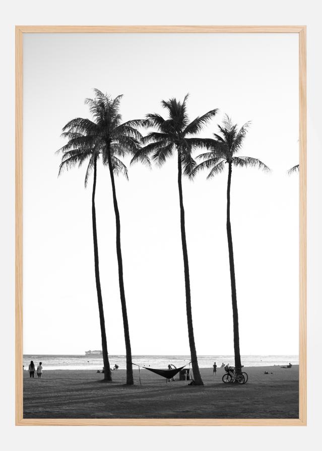 Black And White Palm Trees Poster