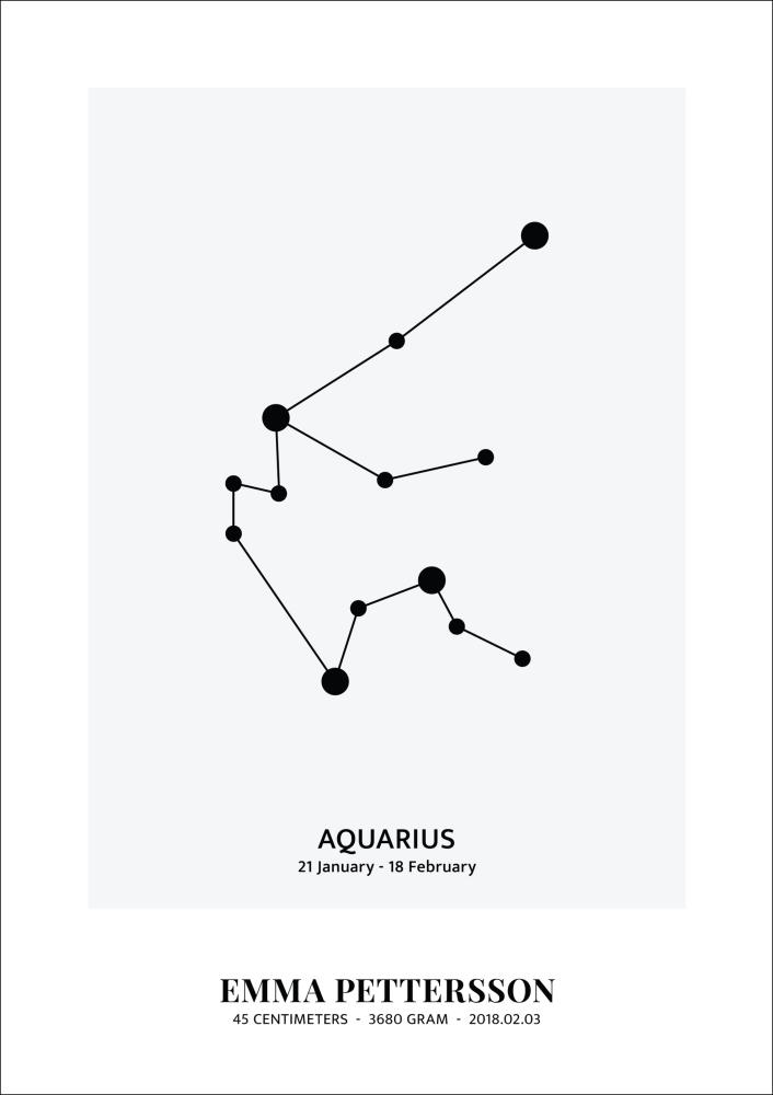 Aquarius - Zodiac