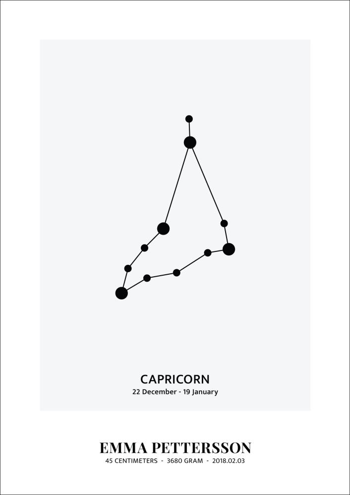 Capricorn - Zodiac