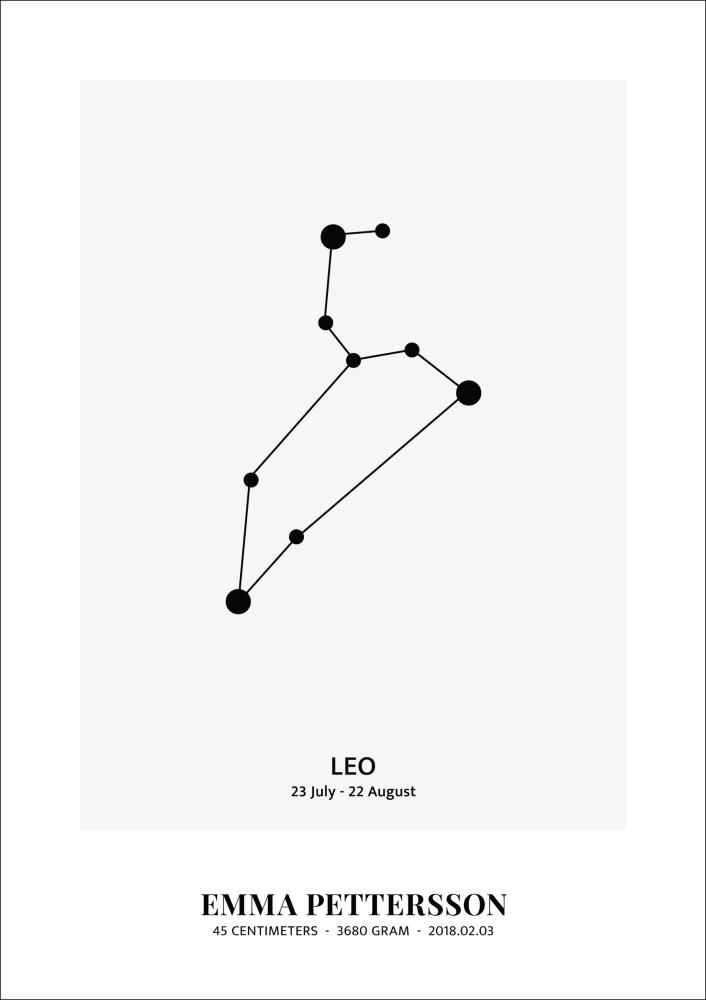 Leo - Zodiac