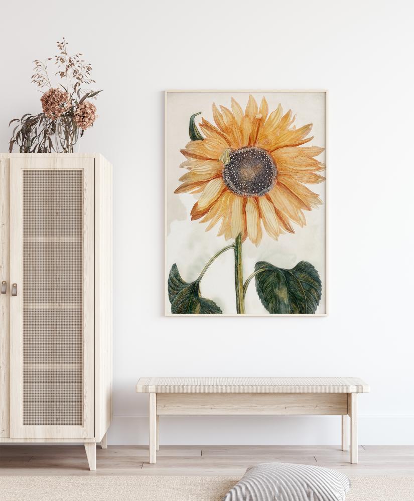 Sunflower Art Poster