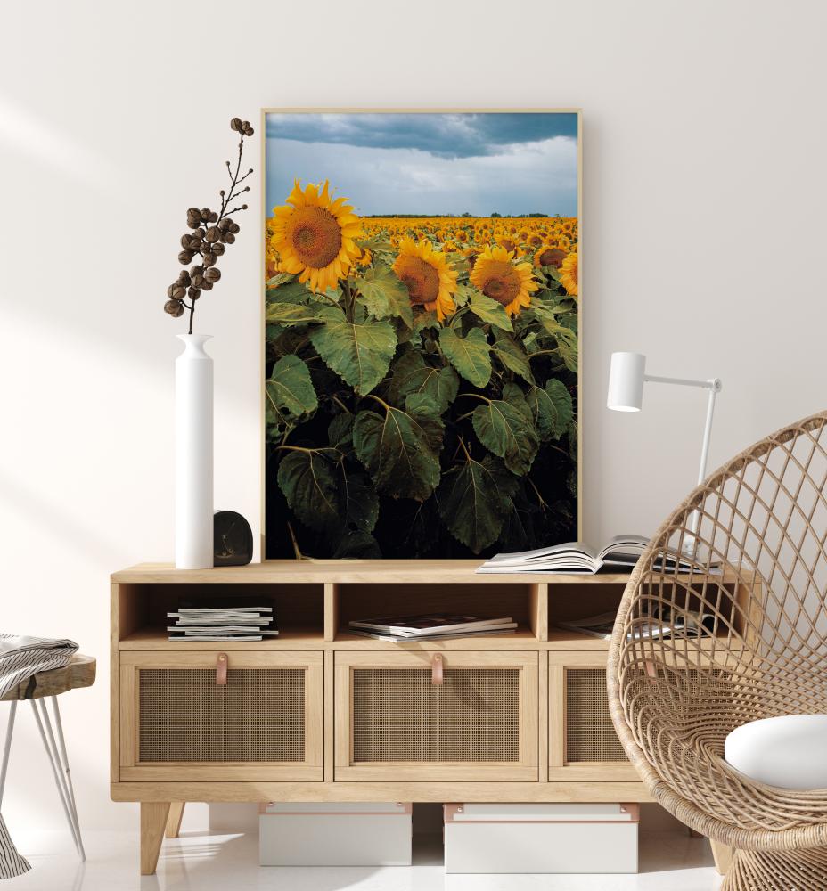 Sunflowers Poster