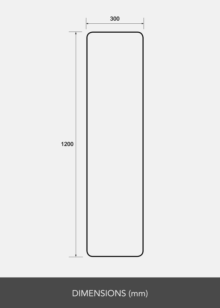 Oglindă Rectangle L 30x120 cm