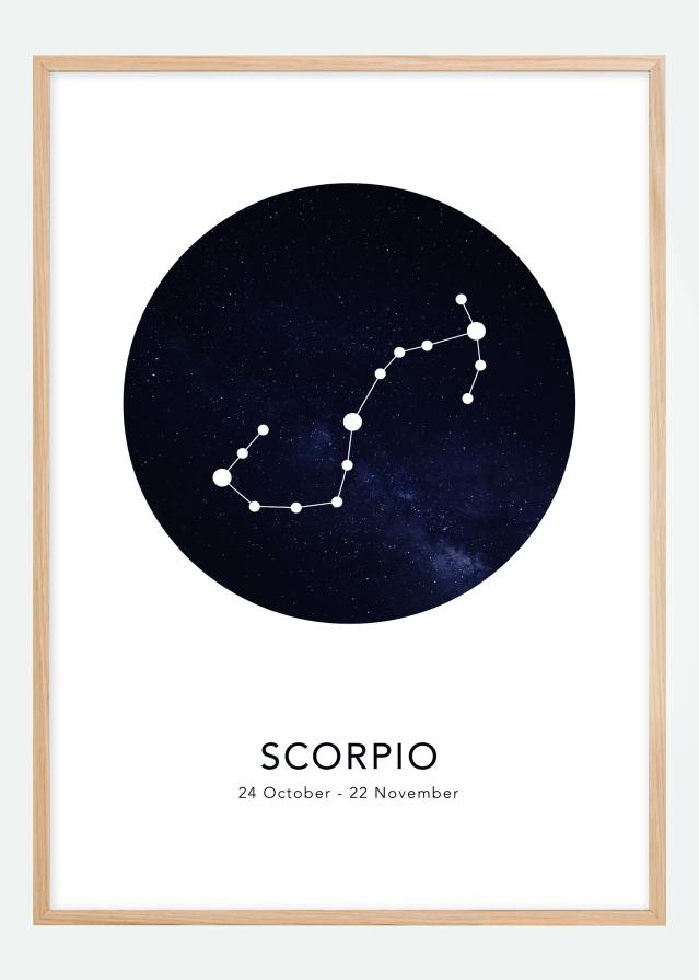 Scorpio Poster