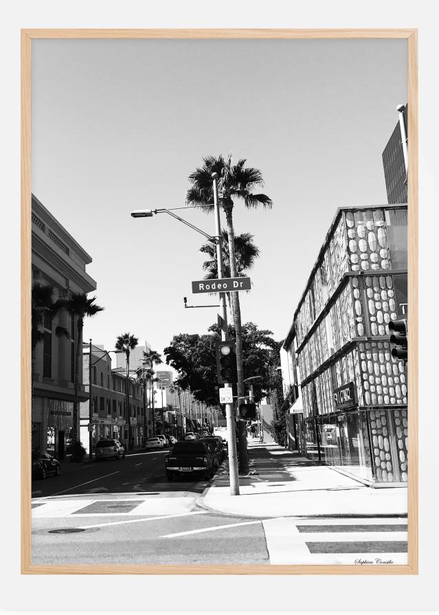 Rodeo drive Poster