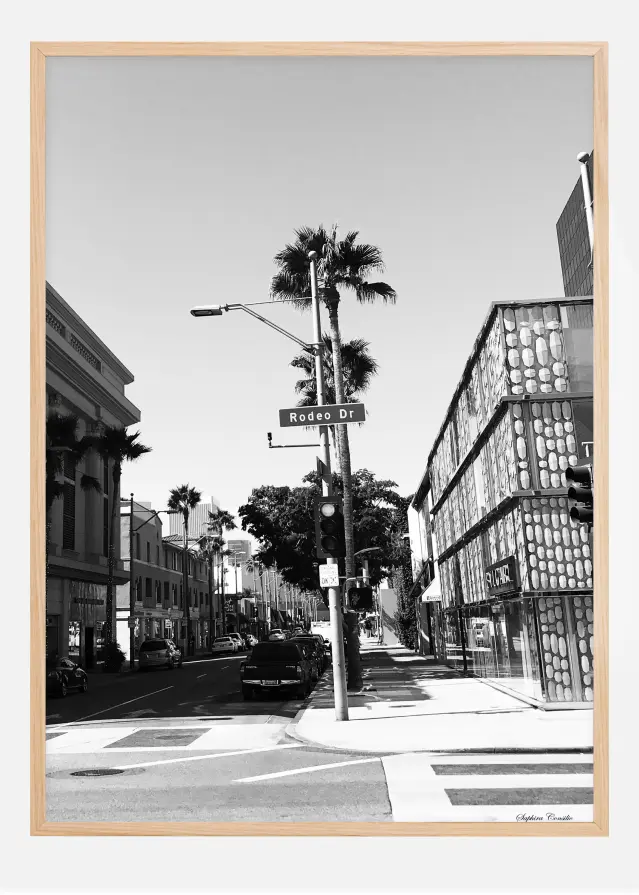 Rodeo drive Poster