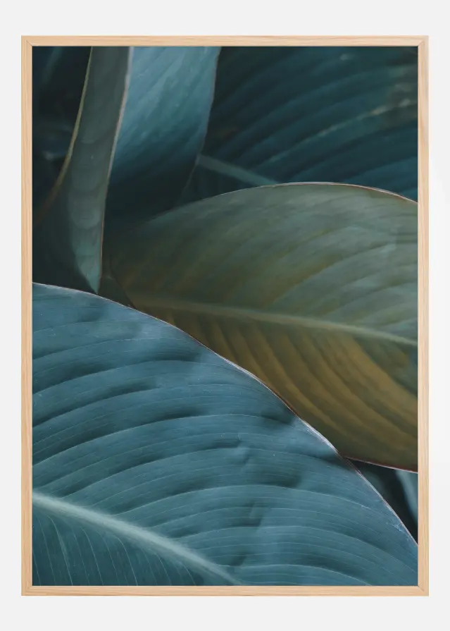 Leaf Close-Up Poster