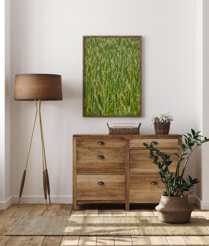 Green Wheat Field Poster